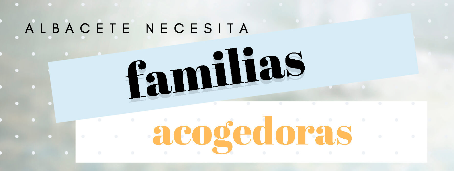PRENSA – Albacete necesita familias de acogida