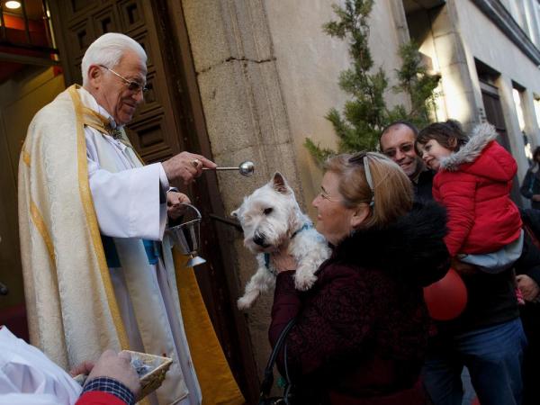 PRENSA – Madrid. la iglesia de san antón honra a su titular con la bendición de animales